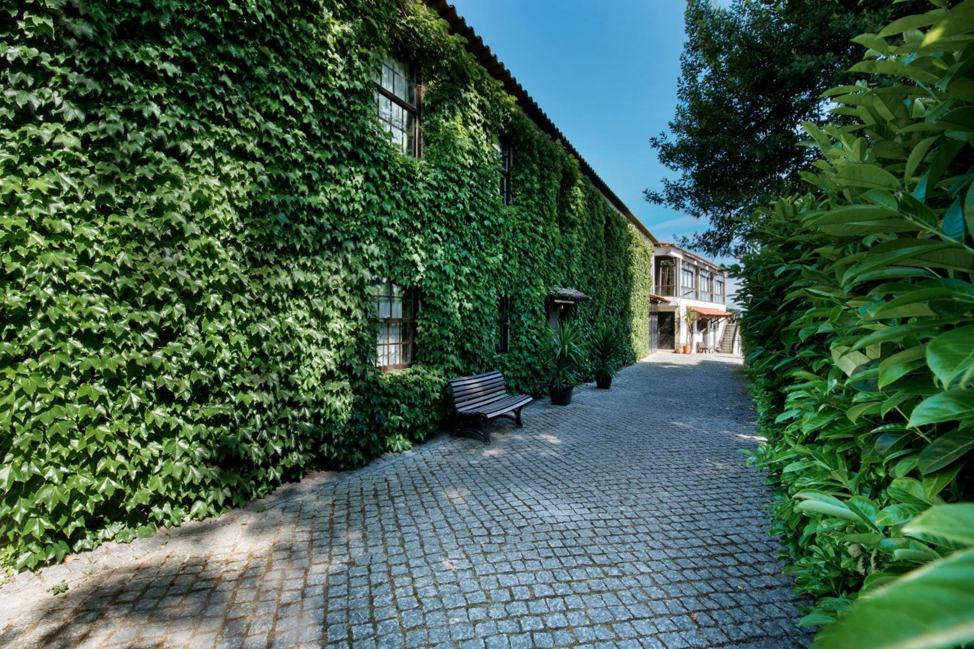 维塞乌 Casa Dos Gomes旅馆 外观 照片